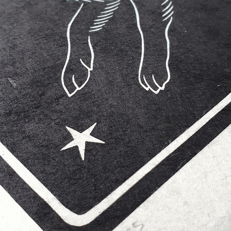 Detail of linocut paper texture