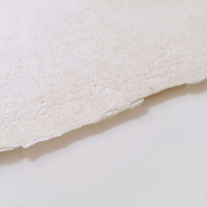 Closeup shot of white handmade paper with deckle edge