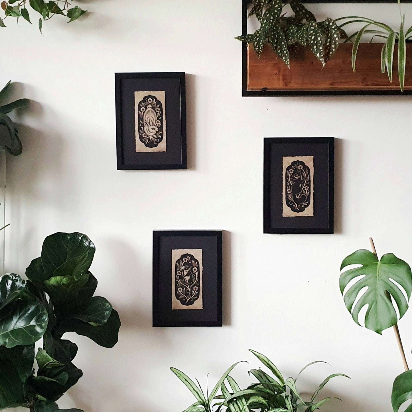 Three framed linocut prints hanging in a wall surrounded by houseplants