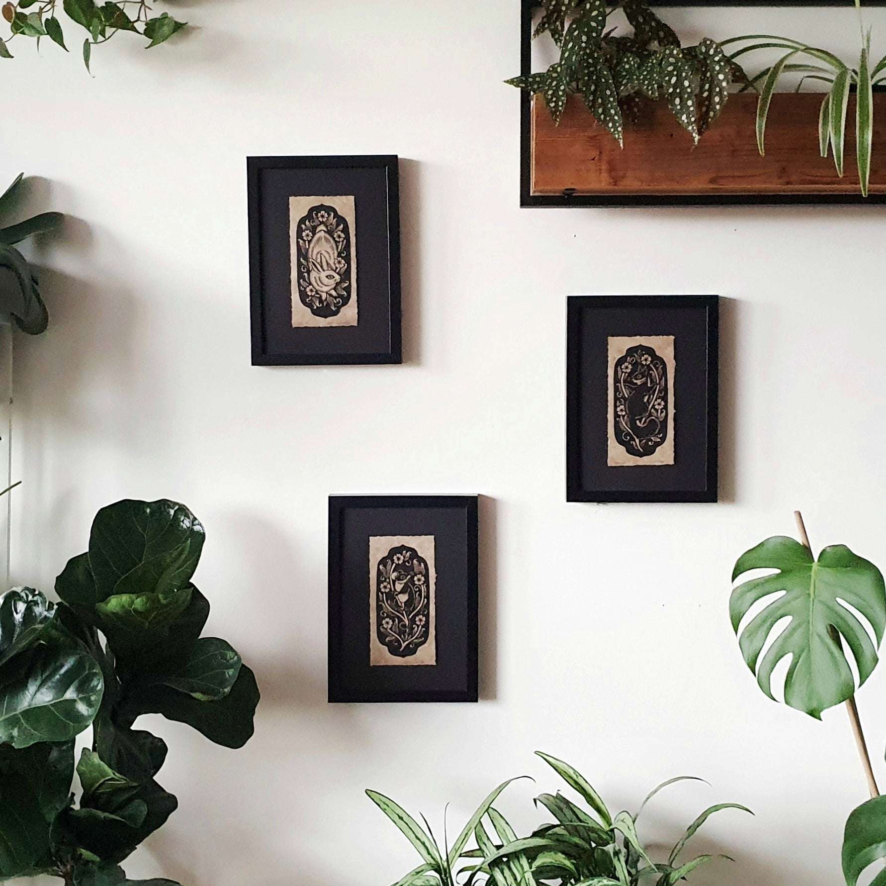 Three framed linocut prints hanging in a wall surrounded by houseplants